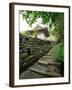 Kumano Pilgrim Road-null-Framed Photographic Print