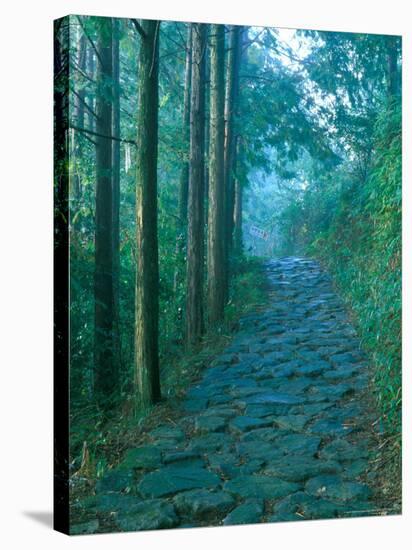 Kumano Road, Nakanohechi, Wakayama, Japan-Rob Tilley-Stretched Canvas