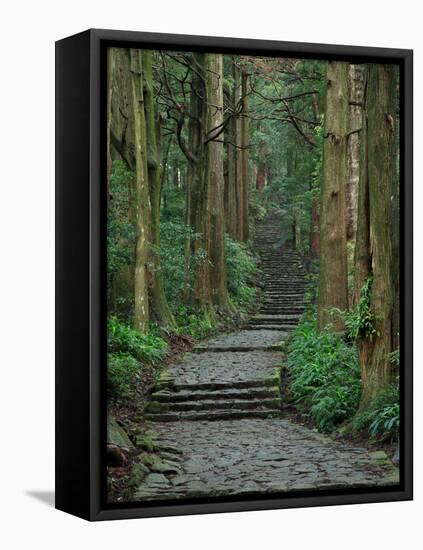 Kumano-null-Framed Stretched Canvas