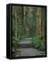 Kumano-null-Framed Stretched Canvas