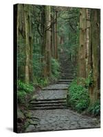 Kumano-null-Stretched Canvas