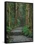 Kumano-null-Framed Stretched Canvas