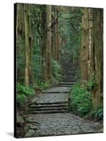 Kumano-null-Stretched Canvas