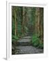 Kumano-null-Framed Premium Photographic Print