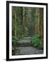 Kumano-null-Framed Premium Photographic Print