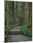 Kumano-null-Mounted Photographic Print