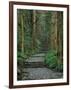 Kumano-null-Framed Photographic Print