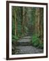 Kumano-null-Framed Photographic Print