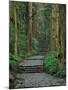 Kumano-null-Mounted Photographic Print