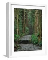 Kumano-null-Framed Photographic Print