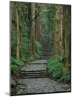 Kumano-null-Mounted Photographic Print