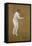 Kumar Shri Ranjitsinhji (1872-1933), 1905-Albert Chevallier Tayler-Framed Stretched Canvas