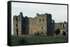 Kunda, Ruins of Toolse Castle-null-Framed Stretched Canvas