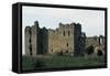 Kunda, Ruins of Toolse Castle-null-Framed Stretched Canvas