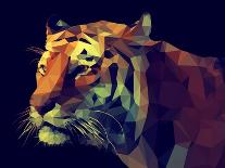 Low Poly Design. Tiger Illustration.-Kundra-Mounted Art Print