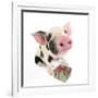 Kune Kune Cross Gloucester Old Spot Piglet with Present-null-Framed Photographic Print