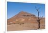 Kunene, Namibia. Dead Tree in Desert Landscape Near Puros Conservancy-Bill Bachmann-Framed Photographic Print