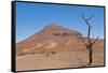 Kunene, Namibia. Dead Tree in Desert Landscape Near Puros Conservancy-Bill Bachmann-Framed Stretched Canvas