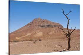 Kunene, Namibia. Dead Tree in Desert Landscape Near Puros Conservancy-Bill Bachmann-Stretched Canvas