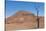 Kunene, Namibia. Dead Tree in Desert Landscape Near Puros Conservancy-Bill Bachmann-Stretched Canvas