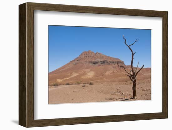 Kunene, Namibia. Dead Tree in Desert Landscape Near Puros Conservancy-Bill Bachmann-Framed Photographic Print