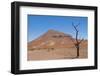 Kunene, Namibia. Dead Tree in Desert Landscape Near Puros Conservancy-Bill Bachmann-Framed Photographic Print