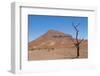 Kunene, Namibia. Dead Tree in Desert Landscape Near Puros Conservancy-Bill Bachmann-Framed Photographic Print