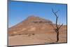 Kunene, Namibia. Dead Tree in Desert Landscape Near Puros Conservancy-Bill Bachmann-Mounted Photographic Print