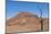 Kunene, Namibia. Dead Tree in Desert Landscape Near Puros Conservancy-Bill Bachmann-Mounted Photographic Print