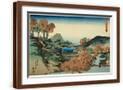 Brown Frame