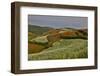 Kunming Dongchuan Red Land Area, Crop Land and Rolling Hills, China-Darrell Gulin-Framed Photographic Print