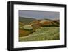 Kunming Dongchuan Red Land Area, Crop Land and Rolling Hills, China-Darrell Gulin-Framed Photographic Print