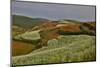 Kunming Dongchuan Red Land Area, Crop Land and Rolling Hills, China-Darrell Gulin-Mounted Photographic Print
