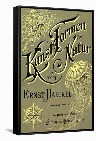 Kunstformen Der Natur Nature Book Collection Print Poster by Ernst Haeckel-null-Framed Stretched Canvas