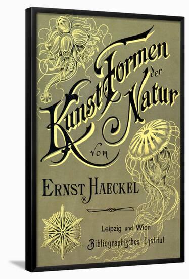 Kunstformen Der Natur Nature Book Collection Print Poster by Ernst Haeckel-null-Framed Poster