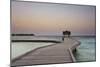 Kuramathi Island, Rasdhoo atoll, Ari atoll, Maldives, Indian Ocean, Asia-Nigel Hicks-Mounted Photographic Print