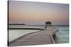 Kuramathi Island, Rasdhoo atoll, Ari atoll, Maldives, Indian Ocean, Asia-Nigel Hicks-Stretched Canvas