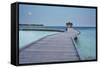 Kuramathi Island, Rasdhoo atoll, Ari atoll, Maldives, Indian Ocean, Asia-Nigel Hicks-Framed Stretched Canvas