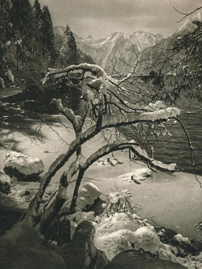 Premium Photographic Print, , large
