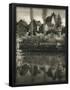 Essential Black