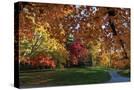 Stretched Canvas