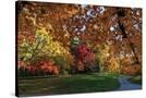 Stretched Canvas