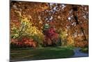 Wood Mount