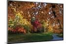 Wood Mount