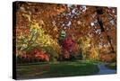 Stretched Canvas