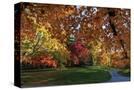 Stretched Canvas