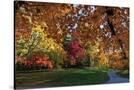 Stretched Canvas