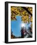 Black Frame