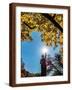 Brown Frame