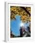White Frame